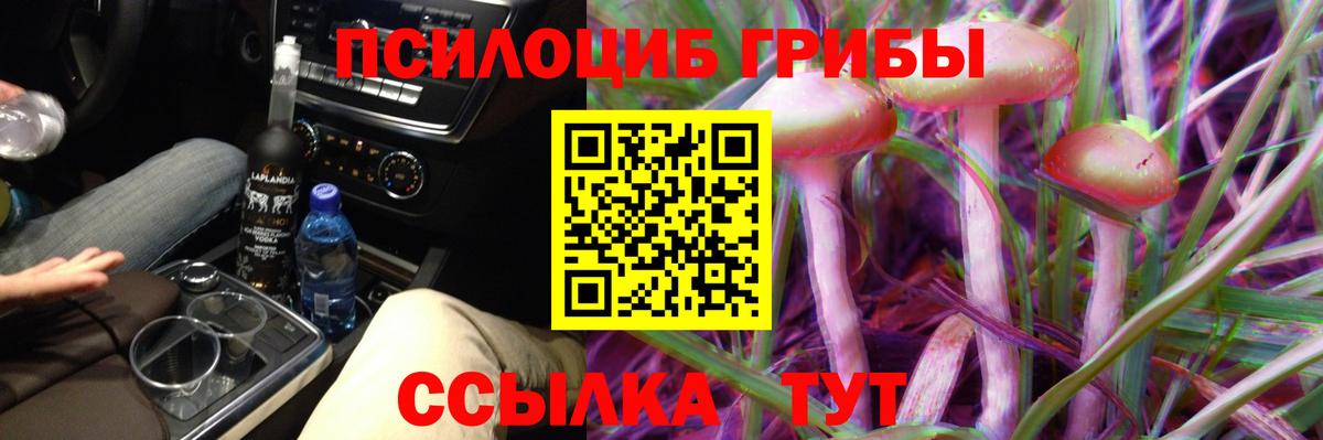 Псилоцибиновые грибы Psilocybe  Вход с VPN  Севастополь  Галлюциногенные грибы MAGIC MUSHROOMS 