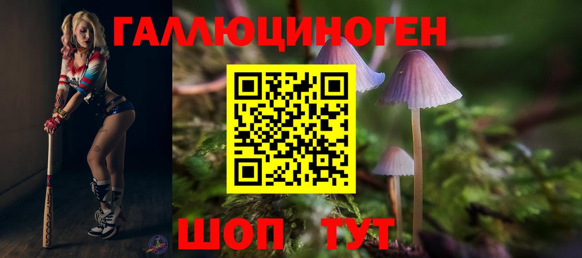 Галлюциногенные грибы мицелий Севастополь